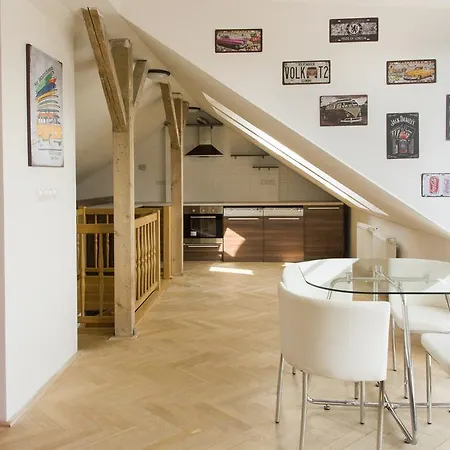 Apartment Penthouse Lipova 20