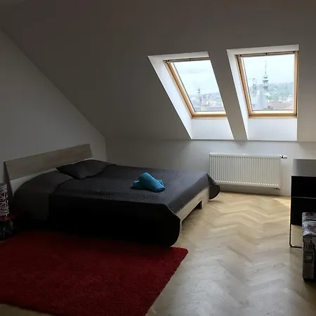 Apartment Penthouse Lipova 20