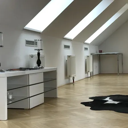 Penthouse Lipova 20 דירה פראג